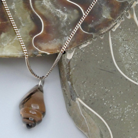 Zeeslak collectie