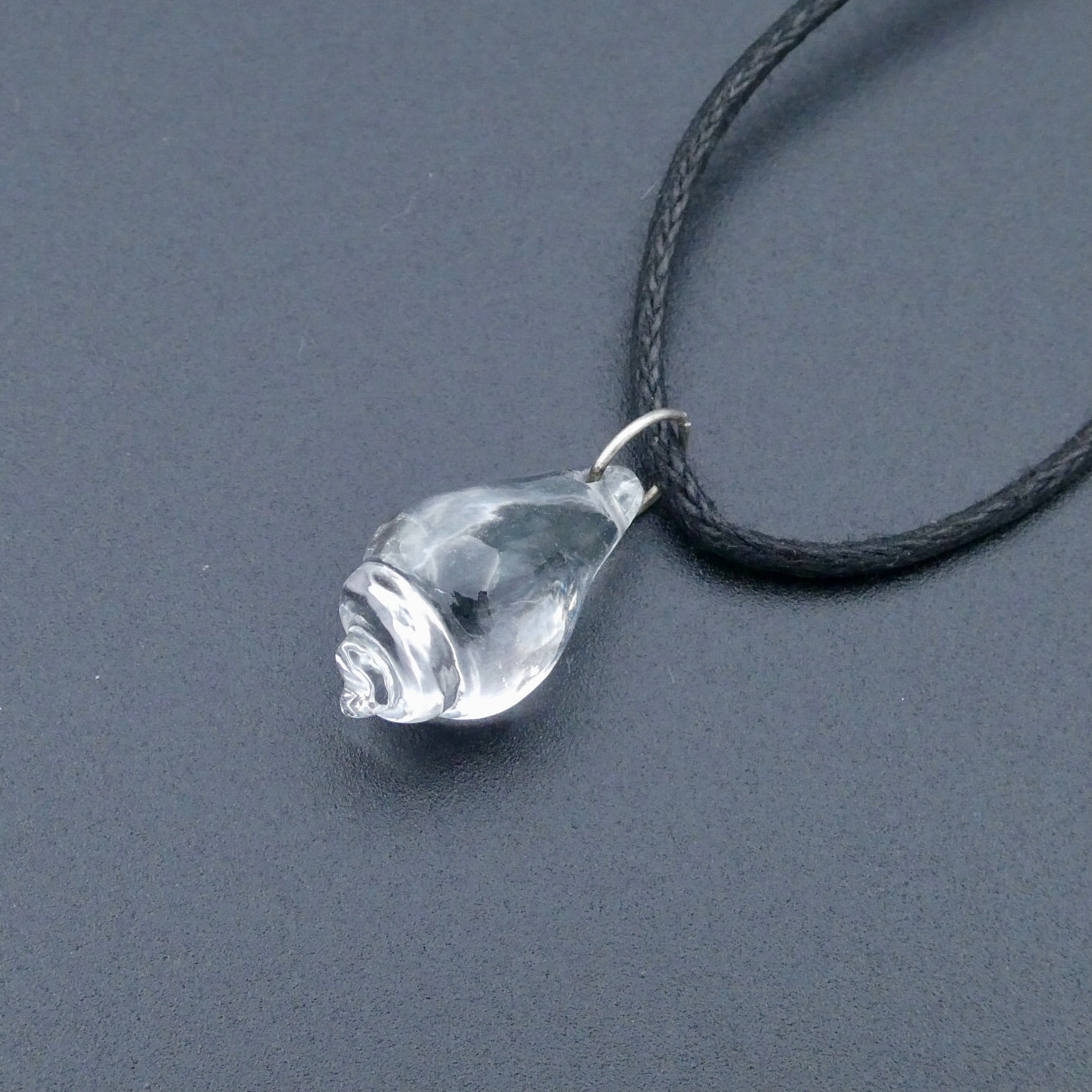 Zeeslak collectie